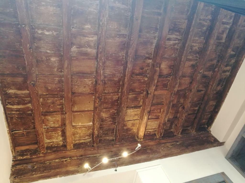The House Of Galileo Galilei Apartment